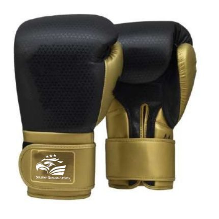 Sparring Gloves