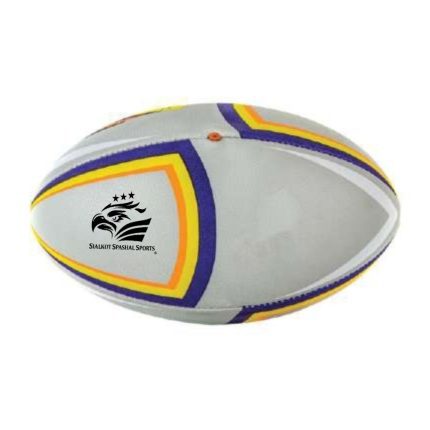 Training and Match Ball