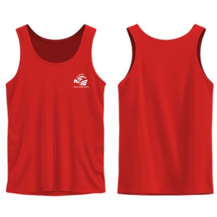 Basketball Pinnies